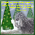 11. Dezember