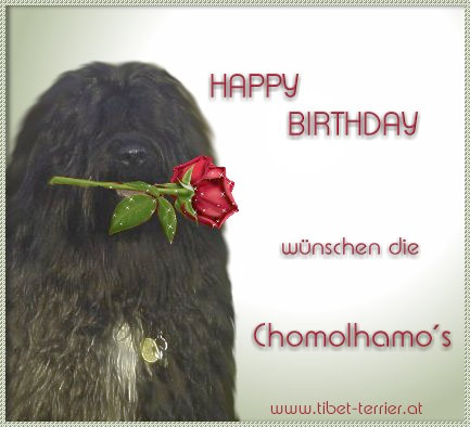 chomolhamo (36K)